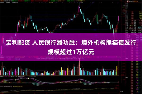 宝利配资 人民银行潘功胜：境外机构熊猫债发行规模超过1万亿元