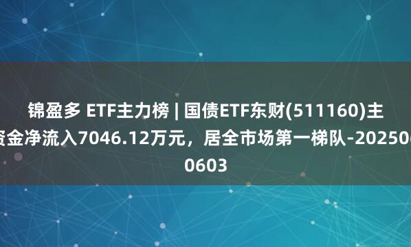 锦盈多 ETF主力榜 | 国债ETF东财(511160)主力资金净流入7046.12万元，居全市场第一梯队-20250603